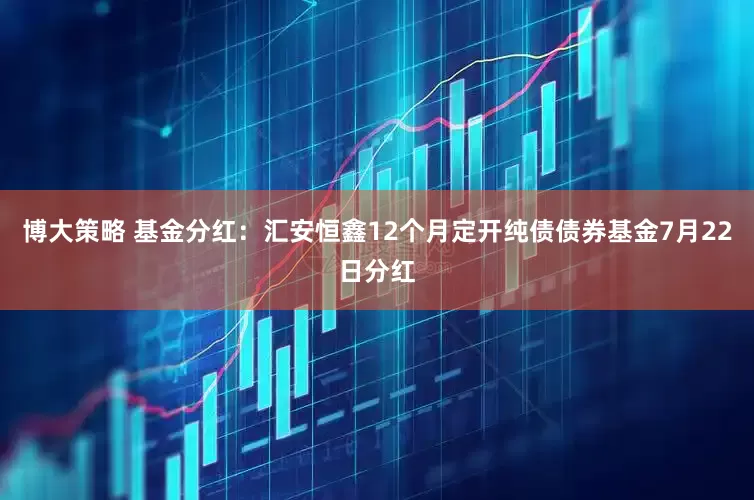 博大策略 基金分红：汇安恒鑫12个月定开纯债债券基金7月22日分红