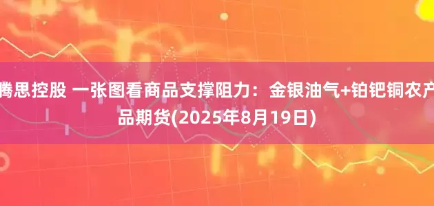 腾思控股 一张图看商品支撑阻力：金银油气+铂钯铜农产品期货(2025年8月19日)
